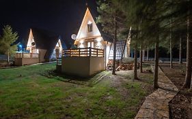 Mila House Tara